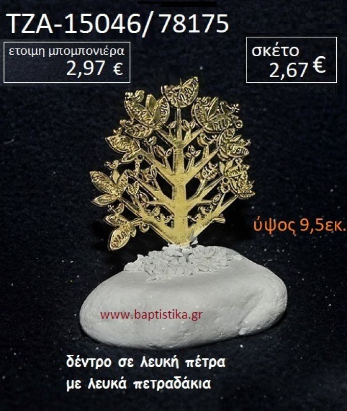 ΔΕΝΤΡΟ ΠΑΝΩ ΣΕ ΒΡΑΧΟ ΘΑΛΑΣΣΗΣ ΜΕ ΛΕΥΚΑ ΠΕΤΡΑΔΑΚΙΑ ΤΖΑ-15046/78175