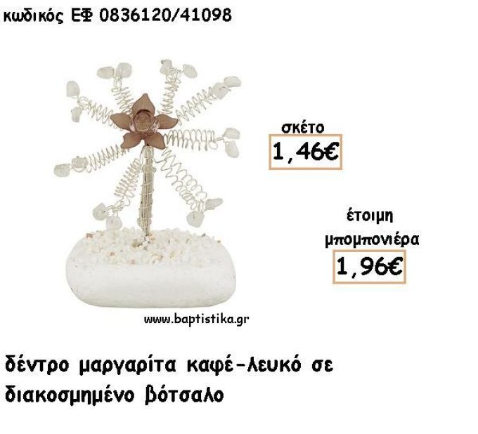 ΜΑΡΓΑΡΙΤΑ ΔΕΝΤΡΟ ΚΑΦΕ-ΛΕΥΚΟ ΣΕ ΒΟΤΣΑΛΟ ΓΙΑ ΜΠΟΜΠΟΝΙΕΡΕΣ - ΔΩΡΟ ΕΦ ΚΛ0836120/41098