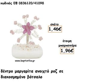 ΜΑΡΓΑΡΙΤΑ ΔΕΝΤΡΟ ΑΝΟΙΚΤΟ ΡΟΖ ΣΕ ΒΟΤΣΑΛΟ ΓΙΑ ΜΠΟΜΠΟΝΙΕΡΕΣ - ΔΩΡΟ ΕΦ ΑΡ0836120/41098