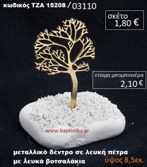 ΔΕΝΤΡΟ ΠΑΝΩ ΣΕ ΒΡΑΧΟ ΘΑΛΑΣΣΗΣ ΜΕ ΑΜΜΟ ΚΑΙ ΒΟΤΣΑΛΑΚΙΑ ΤΖΑ-15208/03110