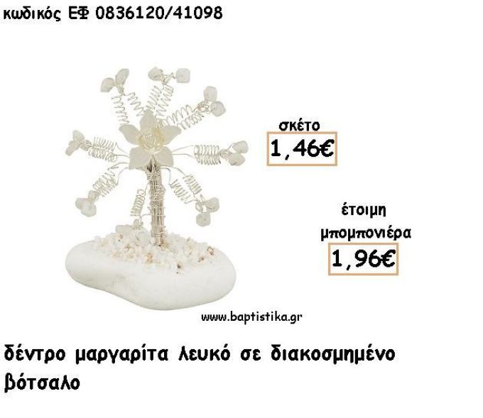 ΜΑΡΓΑΡΙΤΑ ΔΕΝΤΡΟ ΛΕΥΚΟ ΣΕ ΒΟΤΣΑΛΟ ΓΙΑ ΜΠΟΜΠΟΝΙΕΡΕΣ - ΔΩΡΟ ΕΦ Λ0836120/41098