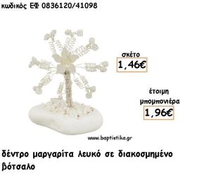 ΜΑΡΓΑΡΙΤΑ ΔΕΝΤΡΟ ΛΕΥΚΟ ΣΕ ΒΟΤΣΑΛΟ ΓΙΑ ΜΠΟΜΠΟΝΙΕΡΕΣ - ΔΩΡΟ ΕΦ Λ0836120/41098