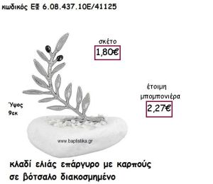 ΚΛΑΔΙ ΕΛΙΑΣ ΕΠΑΡΓΥΡΟ ΜΕ ΚΑΡΠΟΥΣ ΣΕ ΒΟΤΣΑΛΟ ΓΙΑ ΜΠΟΜΠΟΝΙΕΡΕΣ ΓΑΜΟΥ ΕΦ 6.08.437.10Α/41125
