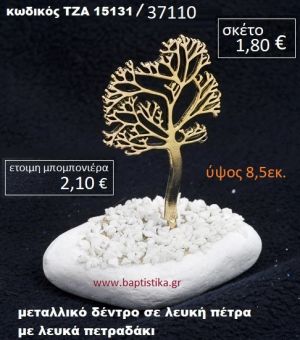 ΔΕΝΤΡΑΚΙ ΣΕ ΛΕΥΚΗ ΠΕΤΡΑ ΜΕ ΛΕΥΚΑ ΠΕΤΡΑΔΑΚΙΑ ΤΖΑ-15131