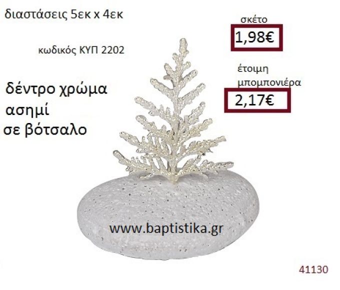 ΔΕΝΤΡΟ σε βότσαλο  ΚΥΠ-2202
