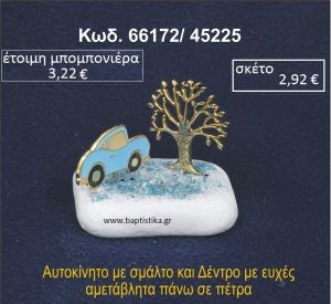 ΔΕΝΤΡΟ ΚΑΙ ΑΥΤΟΚΙΝΗΤΟ ΜΕΤΑΛΛΙΚΟ ΠΑΝΩ ΣΕ ΒΡΑΧΑΚΙ 66172/45225