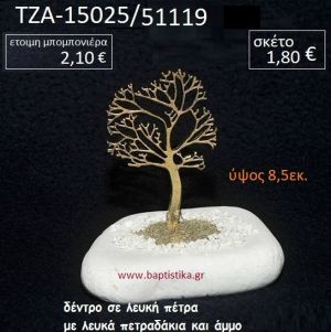 ΔΕΝΤΡΟ ΠΑΝΩ ΣΕ ΒΡΑΧΟ ΘΑΛΑΣΣΗΣ ΜΕ ΛΕΥΚΑ ΠΕΤΡΑΔΑΚΙΑ ΚΑΙ ΑΜΜΟ ΤΖΑ-15025/51119