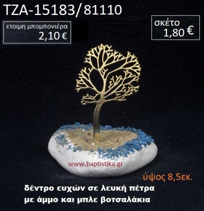 ΔΕΝΤΡΟ ΠΑΝΩ ΣΕ ΒΡΑΧΟ ΘΑΛΑΣΣΗΣ ΜΕ ΑΜΜΟ ΚΑΙ ΜΠΛΕ ΒΟΤΣΑΛΑΚΙΑ  ΤΖΑ-15183/81110