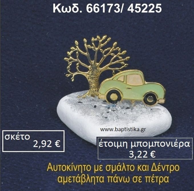 ΔΕΝΤΡΟ ΚΑΙ ΑΥΤΟΚΙΝΗΤΟ ΜΕΤΑΛΛΙΚΟ ΠΑΝΩ ΣΕ ΒΡΑΧΑΚΙ 66173/45225