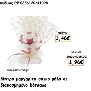 ΜΑΡΓΑΡΙΤΑ ΔΕΝΤΡΟ ΣΑΠΙΟ ΜΗΛΟ ΣΕ ΒΟΤΣΑΛΟ ΓΙΑ ΜΠΟΜΠΟΝΙΕΡΕΣ - ΔΩΡΟ ΕΦ ΣΠ0836120/41098