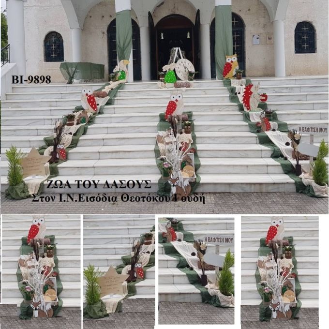 ΖΩΑ ΤΟΥ ΔΑΣΟΥΣ ΣΤΟΛΙΣΜΟΣ ΒΑΠΤΙΣΗΣ ΣΤΟΝ Ι.Ν ΕΙΣΟΔΙΑ ΤΗΣ ΘΕΟΤΟΚΟΥ ΣΤΟ ΓΟΥΔΙ ΒΙ-9898 140€