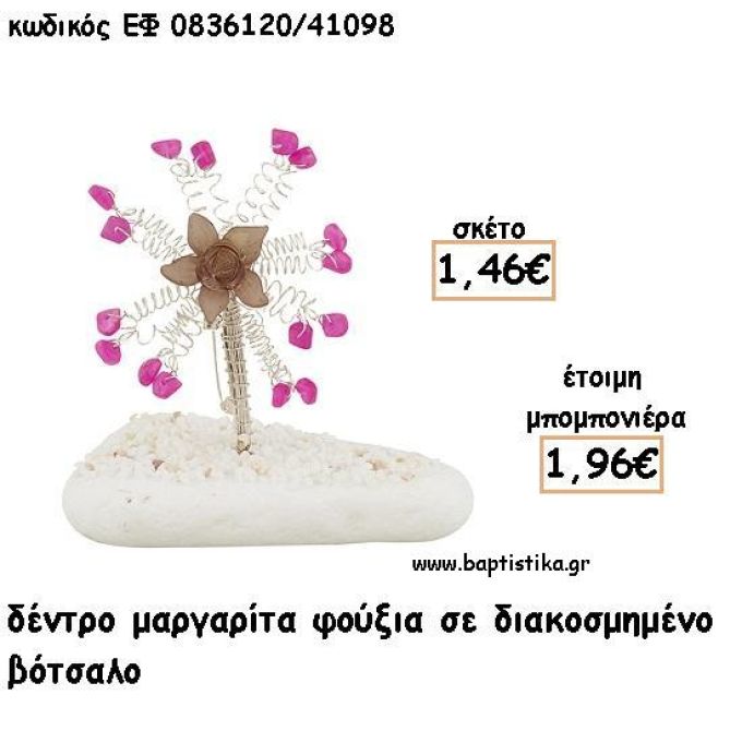 ΜΑΡΓΑΡΙΤΑ ΔΕΝΤΡΟ ΦΟΥΞΙΑ ΣΕ ΒΟΤΣΑΛΟ ΓΙΑ ΜΠΟΜΠΟΝΙΕΡΕΣ - ΔΩΡΟ ΕΦ Φ0836120/41098