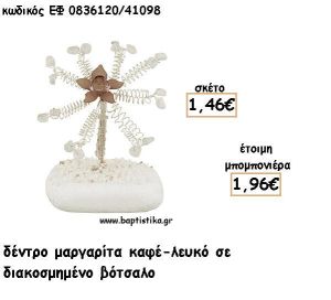 ΜΑΡΓΑΡΙΤΑ ΔΕΝΤΡΟ ΚΑΦΕ-ΛΕΥΚΟ ΣΕ ΒΟΤΣΑΛΟ ΓΙΑ ΜΠΟΜΠΟΝΙΕΡΕΣ - ΔΩΡΟ ΕΦ ΚΛ0836120/41098