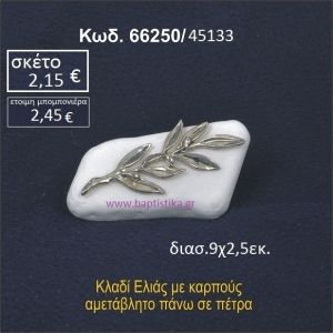 ΚΛΑΔΙ ΕΛΙΑΣ ΣΕ ΒΡΑΧΟ ΘΑΛΑΣΣΗΣ 66250/45133