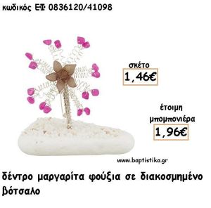 ΜΑΡΓΑΡΙΤΑ ΔΕΝΤΡΟ ΦΟΥΞΙΑ ΣΕ ΒΟΤΣΑΛΟ ΓΙΑ ΜΠΟΜΠΟΝΙΕΡΕΣ - ΔΩΡΟ ΕΦ Φ0836120/41098