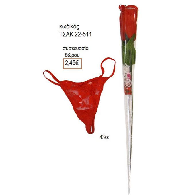 ΤΡΙΑΝΤΑΦΥΛΛΟ ΜΕ ΕΣΩΡΟΥΧΟ ΚΩΔΙΚΟΣ ΤΣΑΚ 22-511