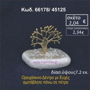ΔΕΝΤΡΟ ΕΥΧΩΝ ΣΕ ΒΡΑΧΟ ΘΑΛΑΣΣΗΣ 66178/45125