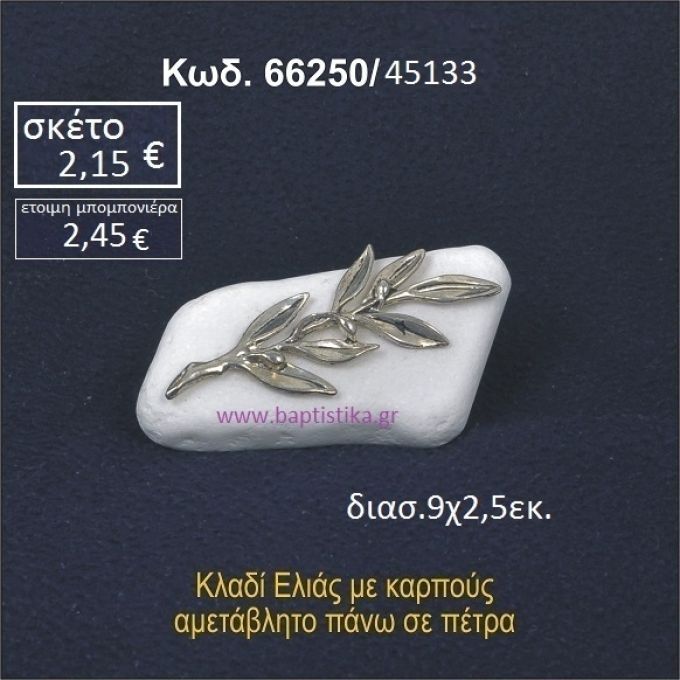 ΚΛΑΔΙ ΕΛΙΑΣ ΣΕ ΒΡΑΧΟ ΘΑΛΑΣΣΗΣ 66250/45133