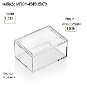 πολυεστερικό κουτί διάφανο μπου 4545